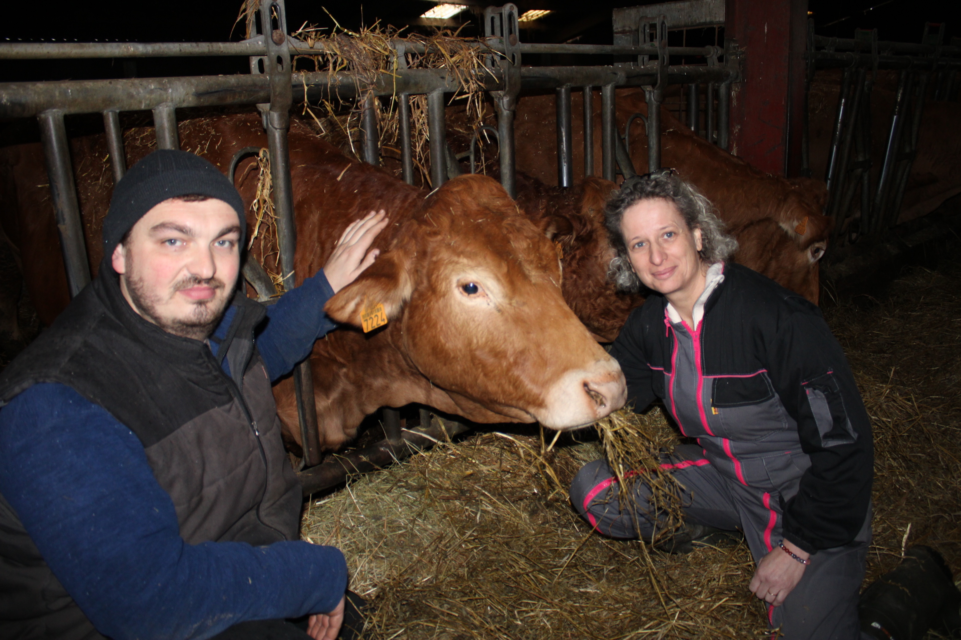 Renaissance de la ferme bio : le bovin prospère à « La bonne étoile » – article dans l’Est Républicain